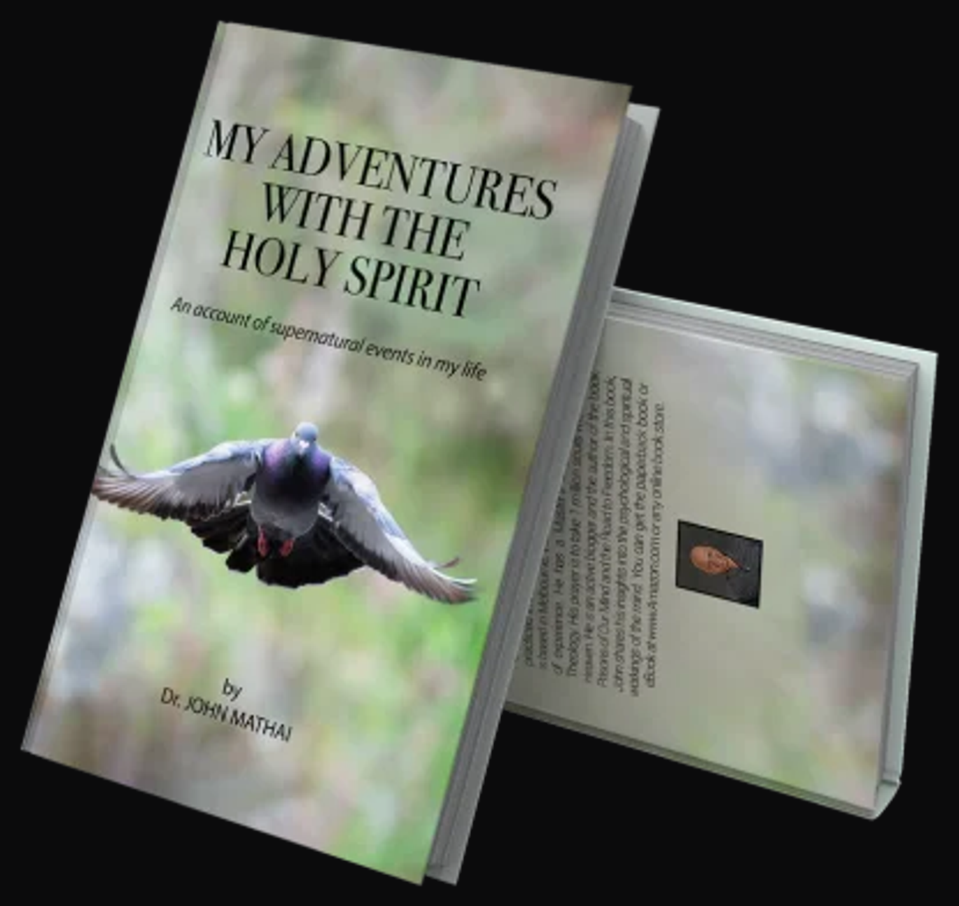 Cover of My Adventures With The Holy Spirit