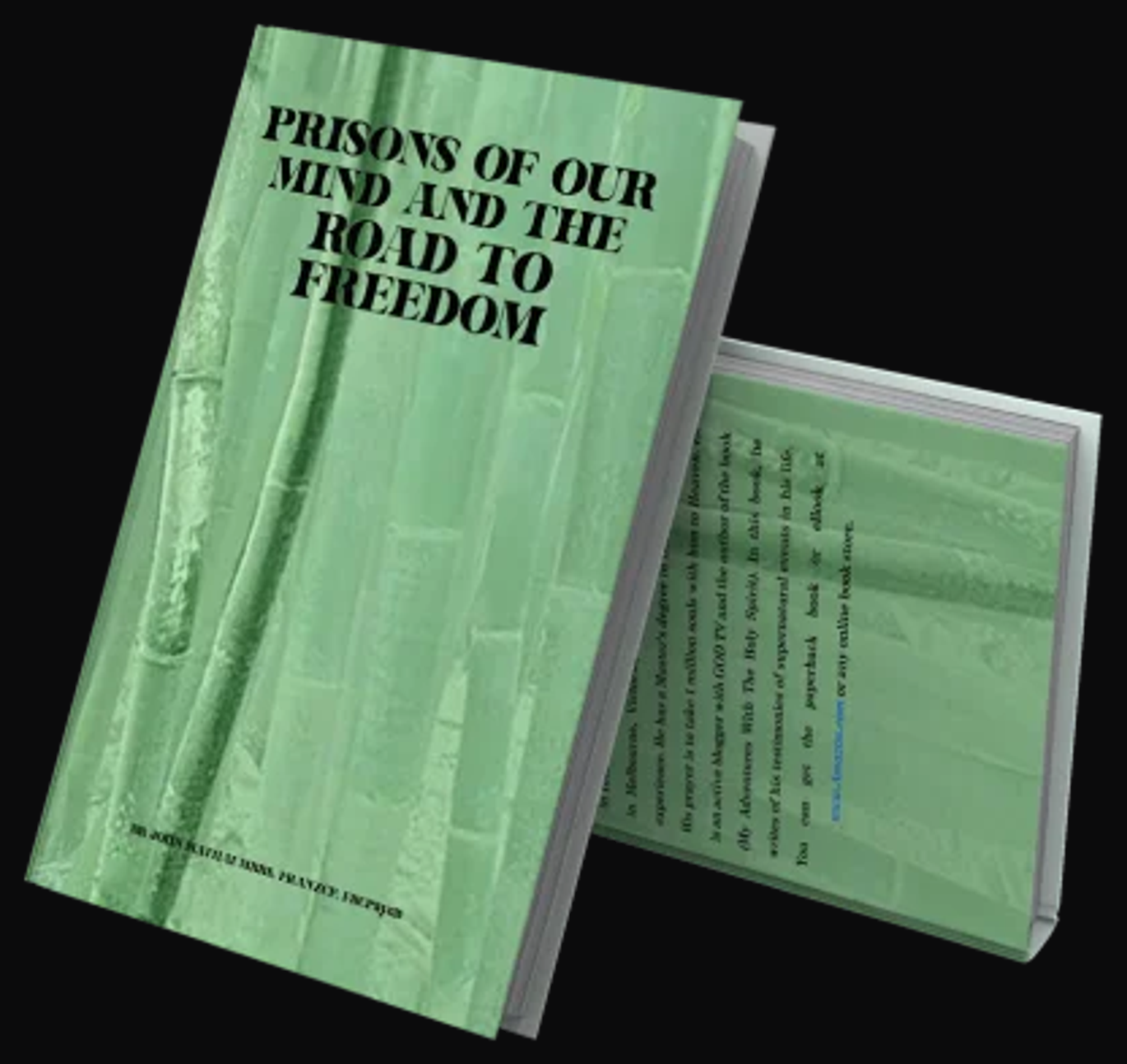 Cover of Prisons of Our Mind and the Road to Freedom